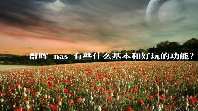 群晖 nas 有些什么基本和好玩的功能？