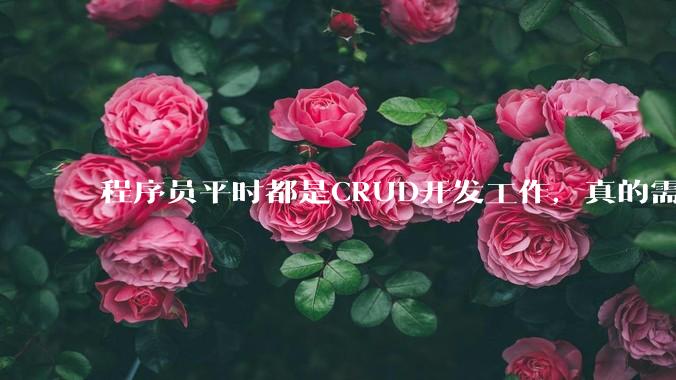 程序员平时都是CRUD开发工作，真的需要深入理解原理性的知识点吗？