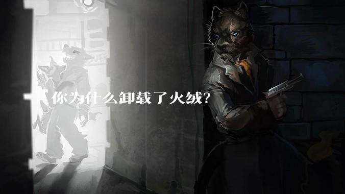 你为什么卸载了火绒？
