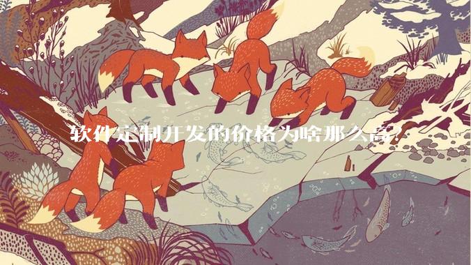 软件定制开发的价格为啥那么高？