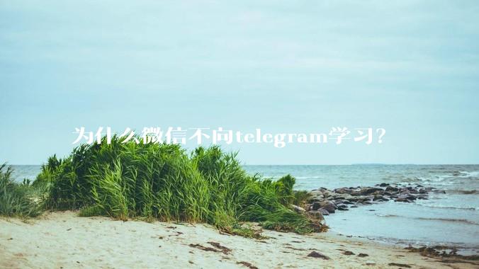 为什么微信不向telegram学习？