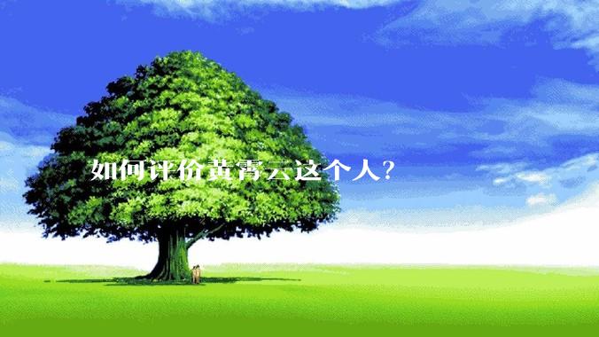 如何评价黄霄云这个人？