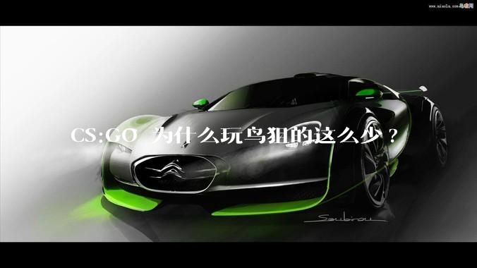 CS:GO 为什么玩鸟狙的这么少?