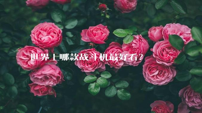 世界上哪款战斗机最好看？