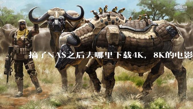 搞了NAS之后去哪里下载4K，8K的电影？
