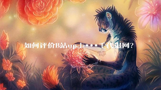 如何评价B站up主***千代退网？